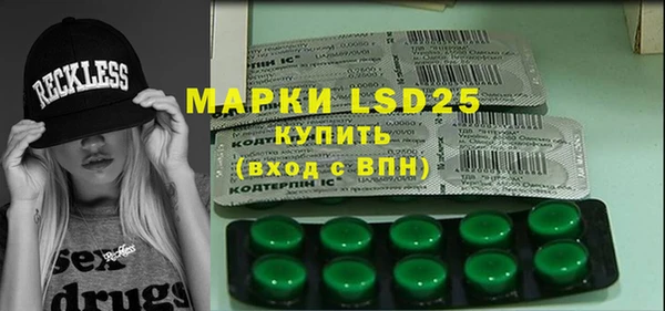 ГАЛЛЮЦИНОГЕННЫЕ ГРИБЫ Алзамай
